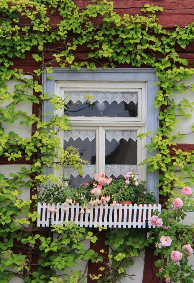 你的院子，就是你过的日子。