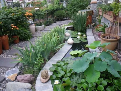 你的院子，就是你过的日子。