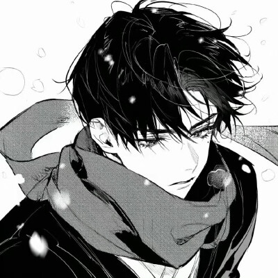 别把自由的小猫叫流浪猫°ʚෆɞ°