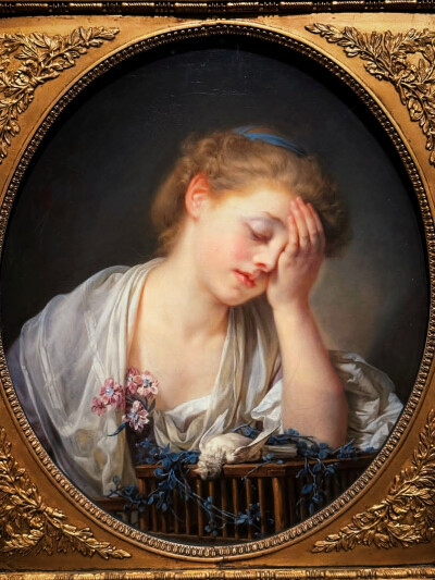 日常
匀红樱花绽