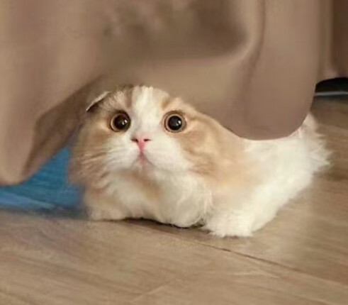 女生头像
