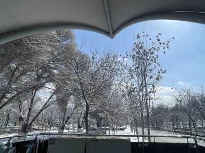 大美新疆的人间三月天2026.3.12（前一日下了24h+大雪）