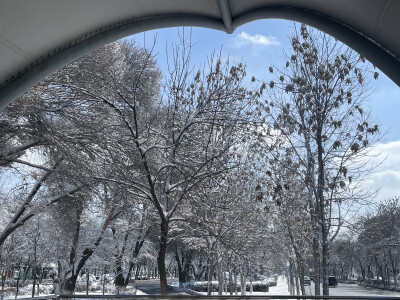 大美新疆的人间三月天2026.3.12（前一日下了24h+大雪）