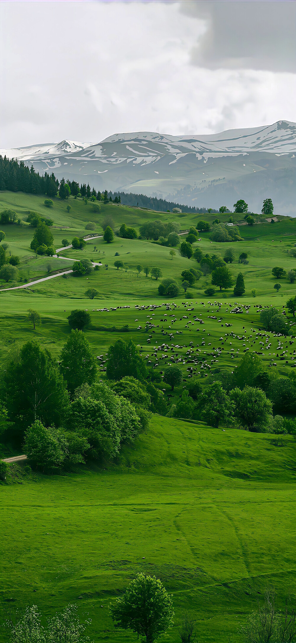 壁纸·图源微博