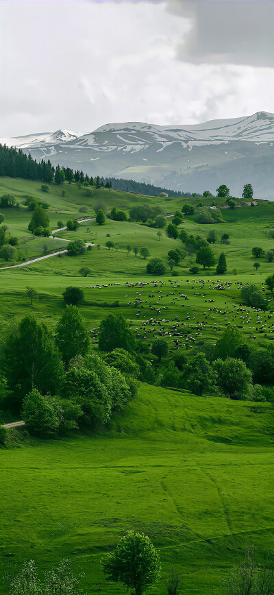 壁纸·图源微博
