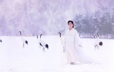 1988年吉永小百合出演电影《鹤》，灵动诠释了传说中那位化身为人的鹤妻
