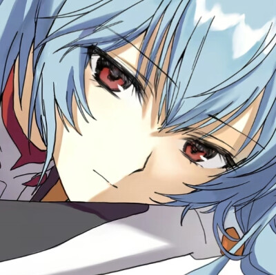 (｡•́︿•̀｡)