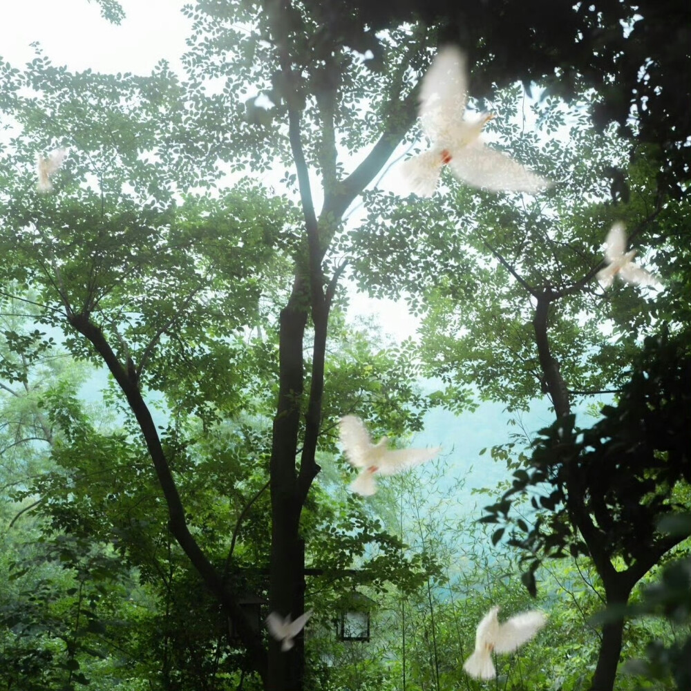 二改注明崔稚渝