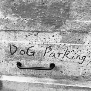 消我泱泱三千恨