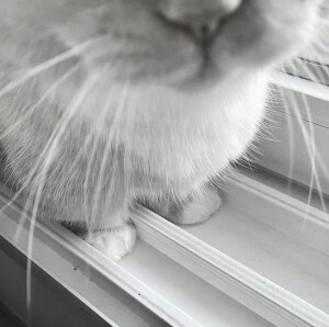 消我泱泱三千恨