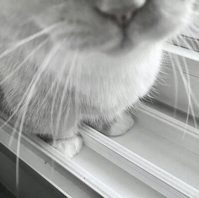 消我泱泱三千恨