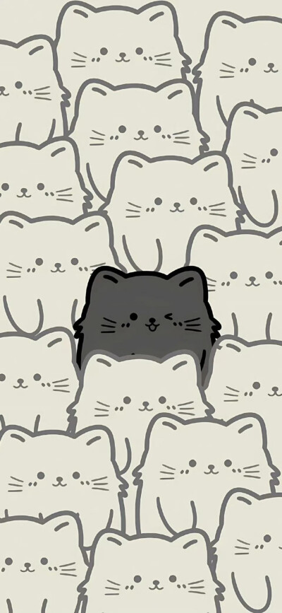 壁纸