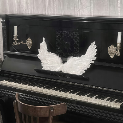 一切动态向我汇报！这是命令！！( ◺˰◿ )