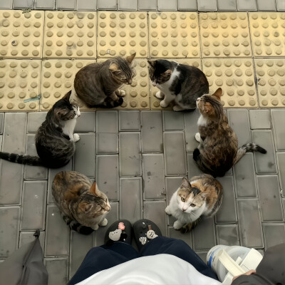 你要不要和我在一起 我一定对你坏坏の=⩌⩊⩌=