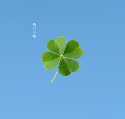 你要不要和我在一起 我一定对你坏坏の=⩌⩊⩌=