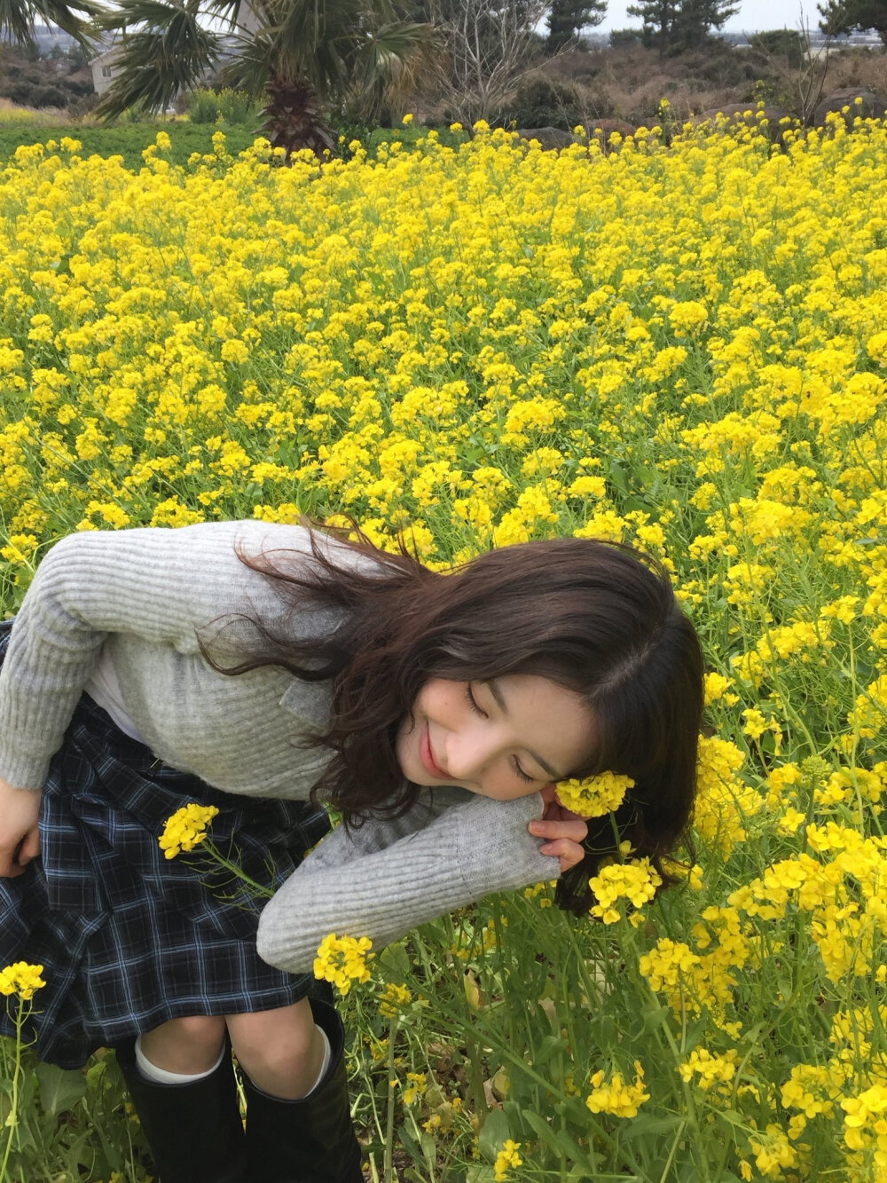 田姬振