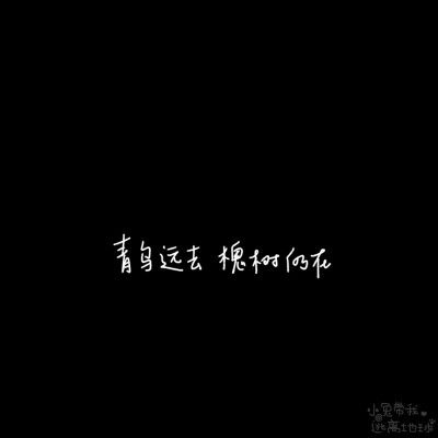 背景图
wb: 小兔带我逃离地球