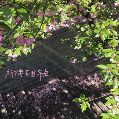 我没有卖萌 我有个人格就是很萌 心情好的时候她就会出来^ ̳> ·̫ < ̳^