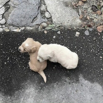 消我泱泱三千恨