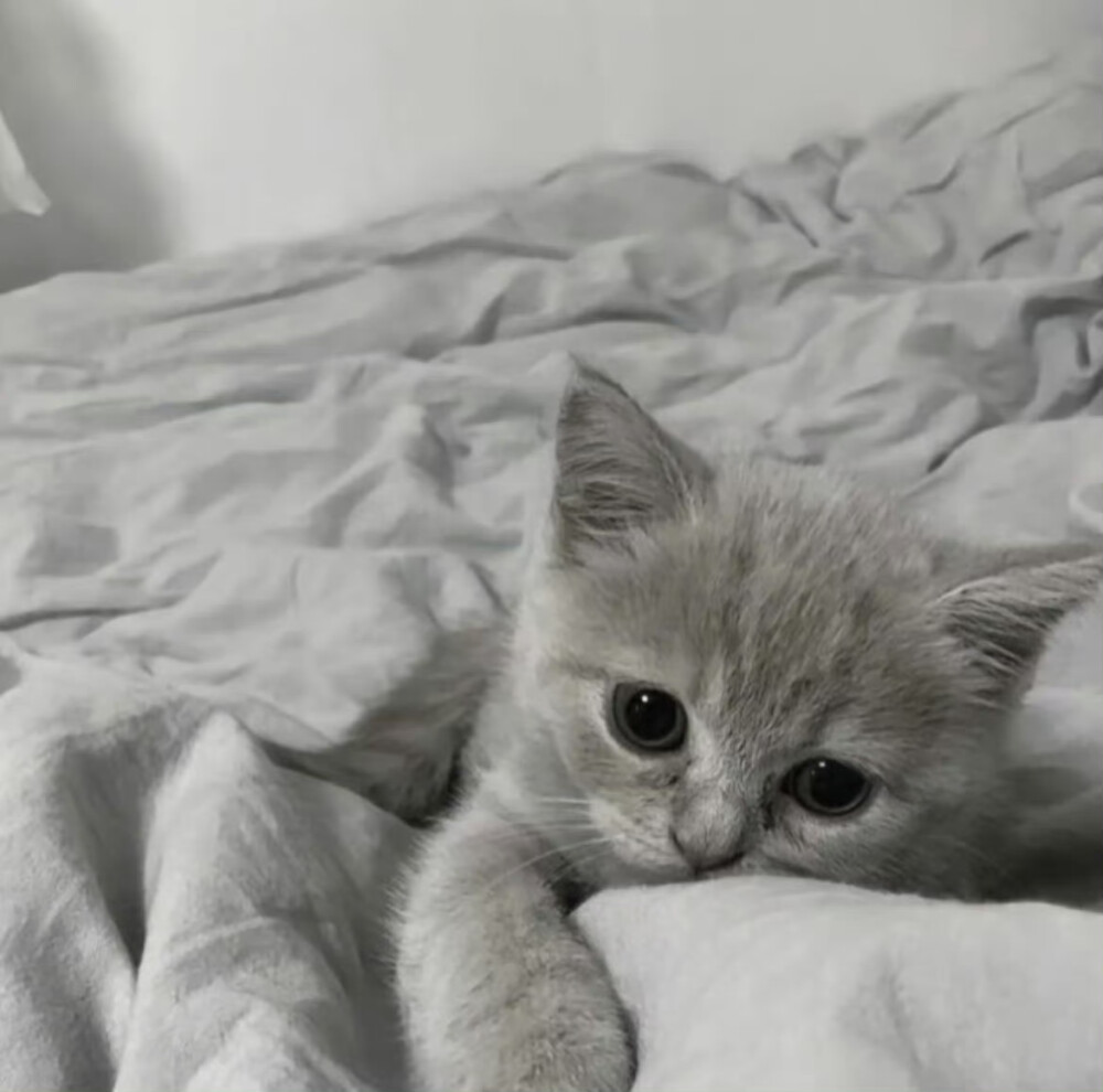 消我泱泱三千恨