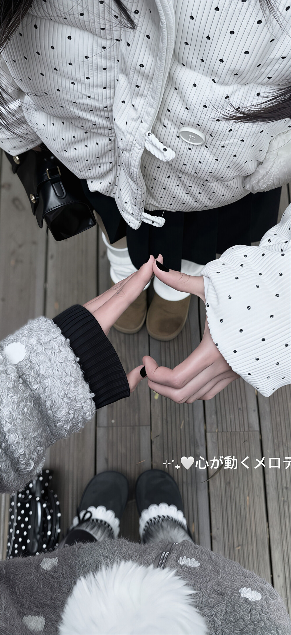 小猫会成为句号一直窝在我的脚边₍ᐢ˶˃~˂˶ᐢ₎