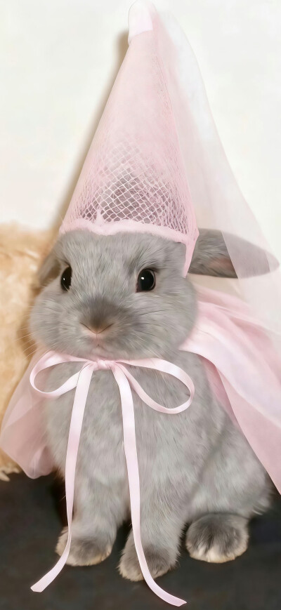 ˋˏˎˊ˗ ₂₀₂₆  神马都好
· 一期手机锁屏壁纸
壁纸推荐
套图壁纸
聊天背景
文字壁纸
