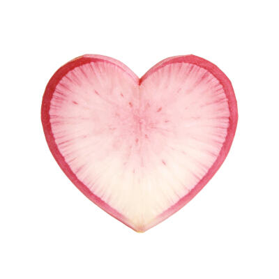 爱心萝卜白底头像