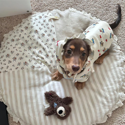 白色系背景图 ins背景图