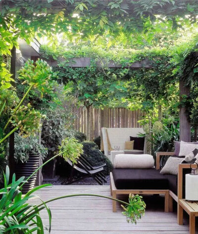 一方院子，有着花草相伴，看云卷云舒，花开花落。