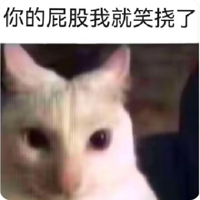 你的屁股我就笑挠了 猫咪 表情