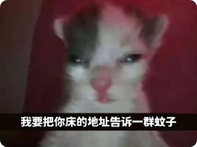 我要把你床的地址告诉一群蚊子
猫咪 表情