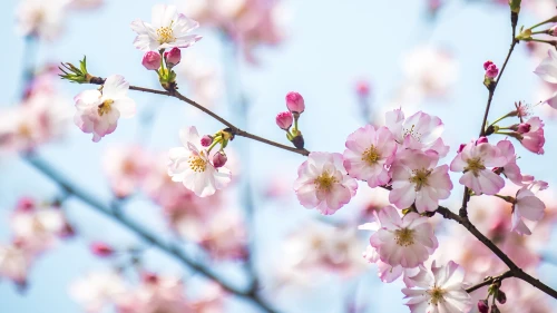 Photo by WPcoder