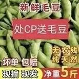 处cp送毛豆