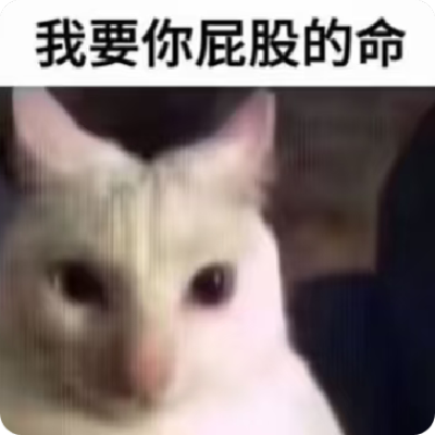 我要你屁股的命 猫咪 表情