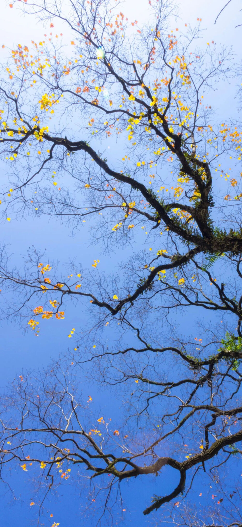 ‎#قدرات خارقة