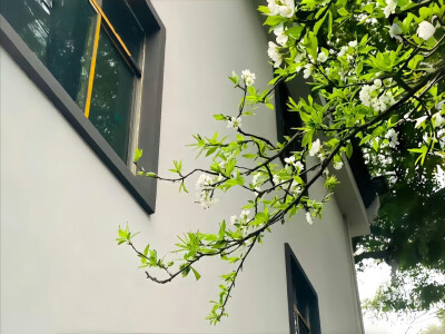 背景图 比你酷
