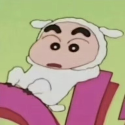 蜡笔小新十二生肖