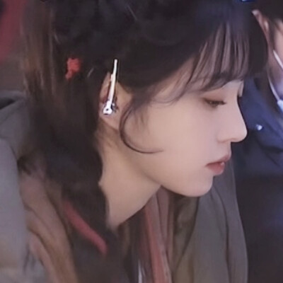 猪 你的鼻子有两个孔