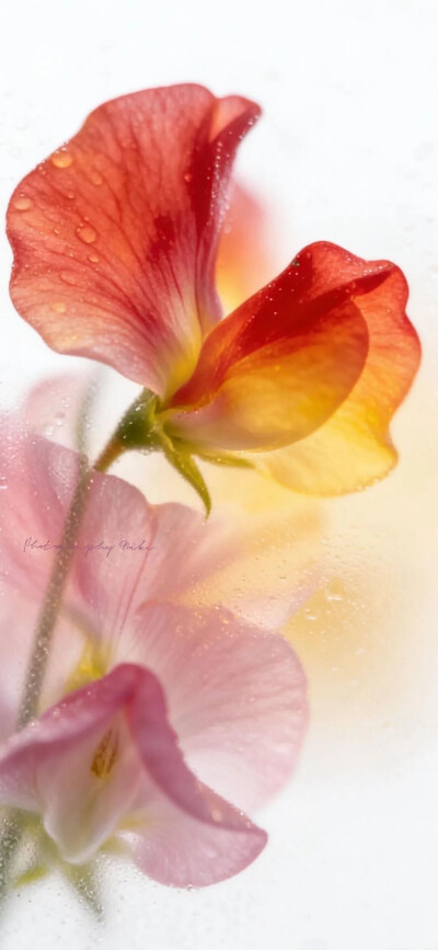 ‎#قدرات خارقة