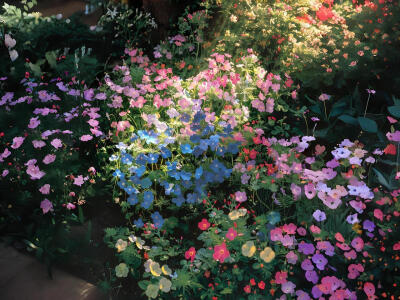 春日绿色系iPad电脑壁纸 横屏