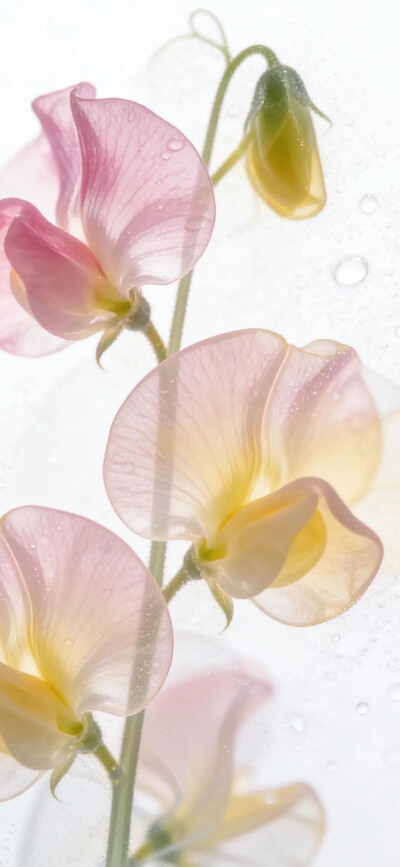 ‎#قدرات خارقة