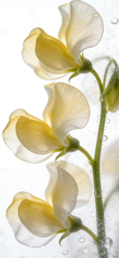 ‎#قدرات خارقة