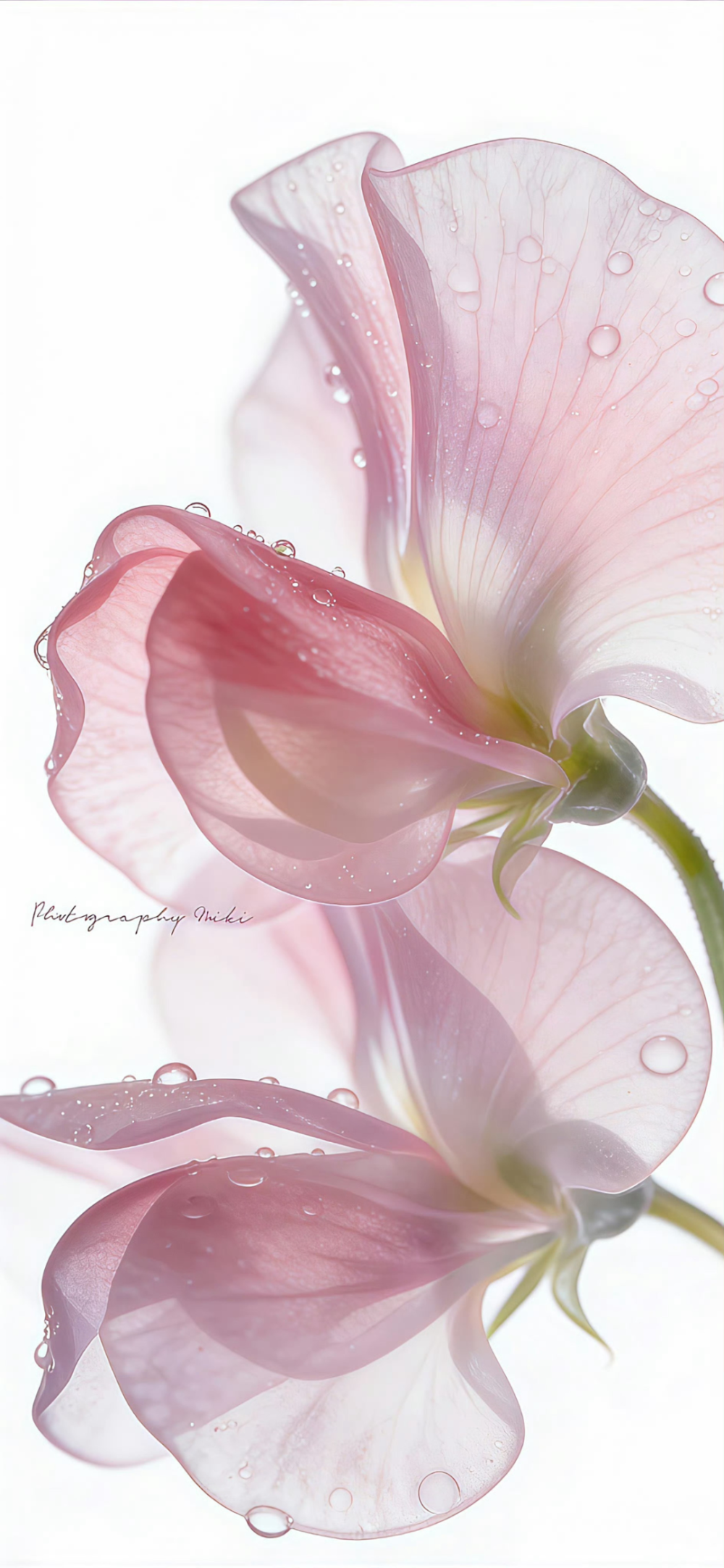 ‎#قدرات خارقة