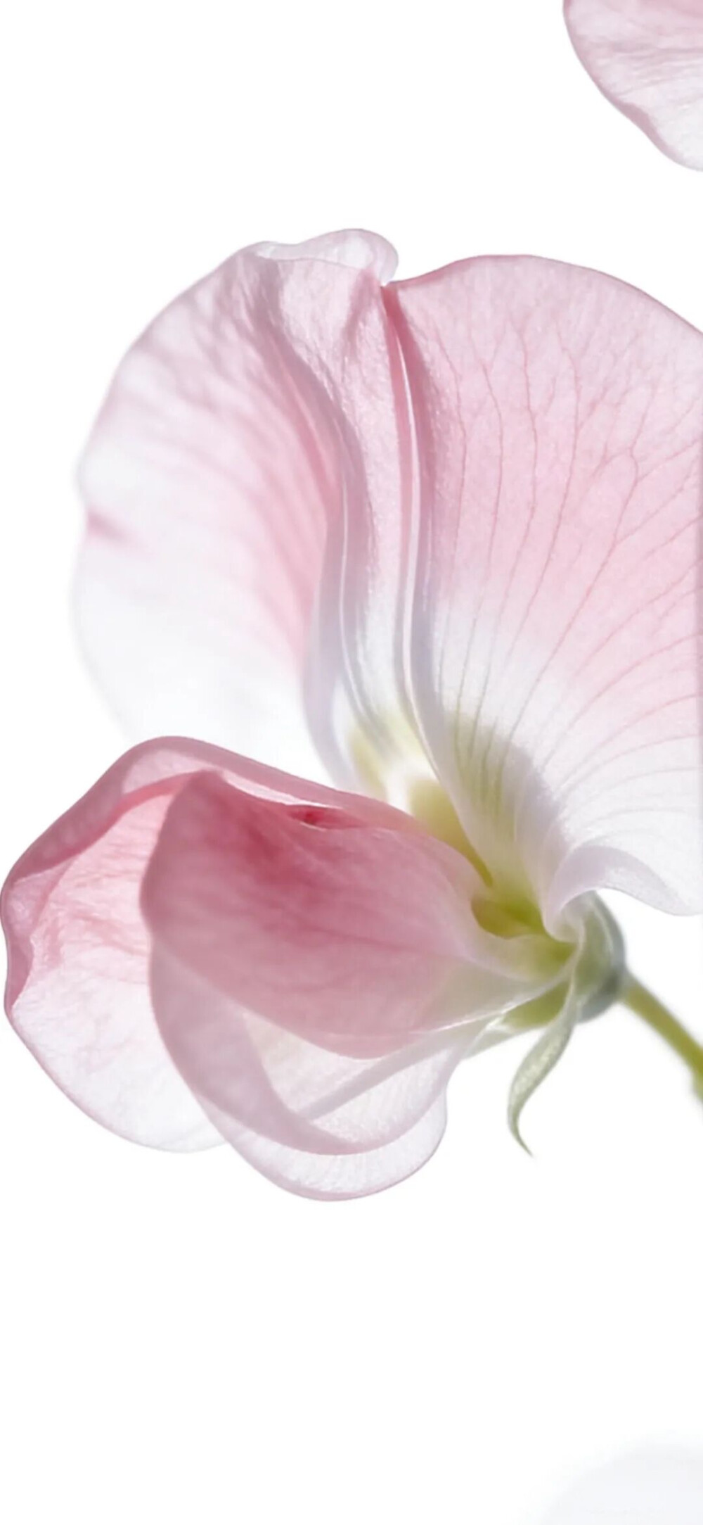 ‎#قدرات خارقة