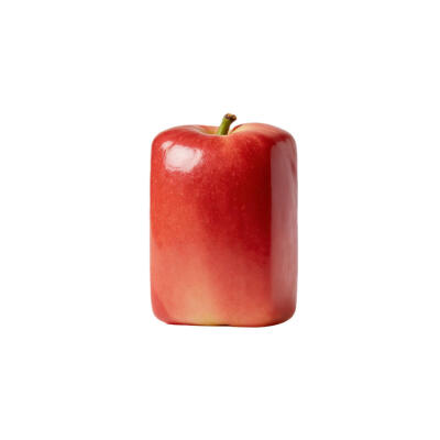 方形水果白底头像