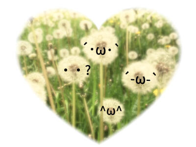 可爱萌萌蒲公英