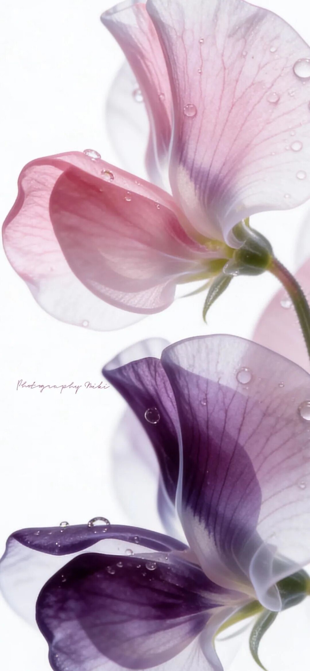 ‎#قدرات خارقة