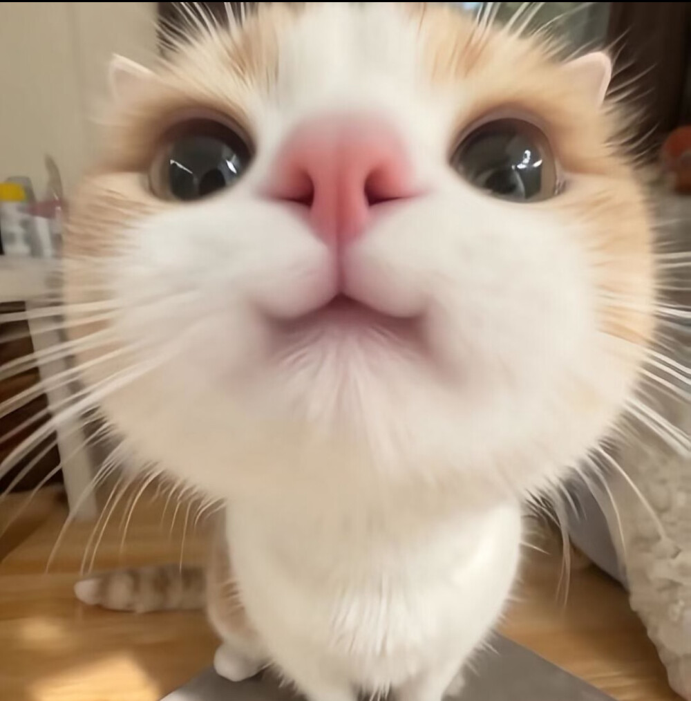 。