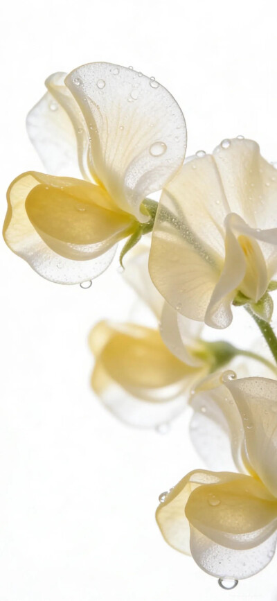 ‎#قدرات خارقة