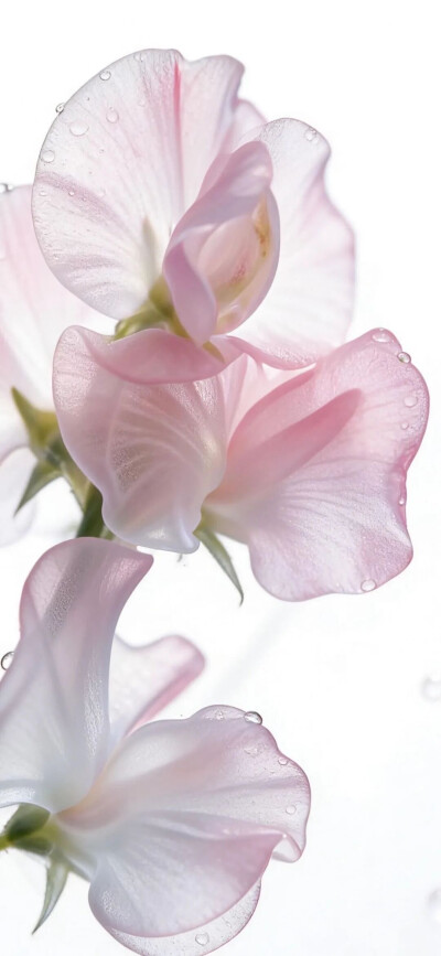 ‎#قدرات خارقة